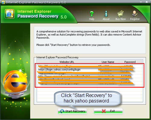 IE password recovery