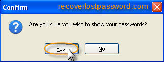 Show Your Password