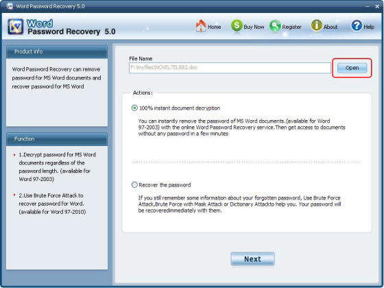 word document decryption
