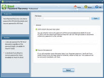 Excel Password Recovery