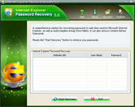 Internet Explorer Password Recovery