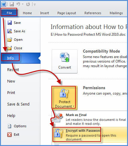 How to Password Protect MS Word 2010 document