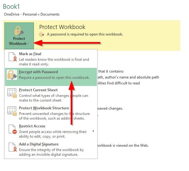 excel file is set to read only